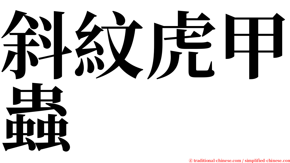 斜紋虎甲蟲 serif font