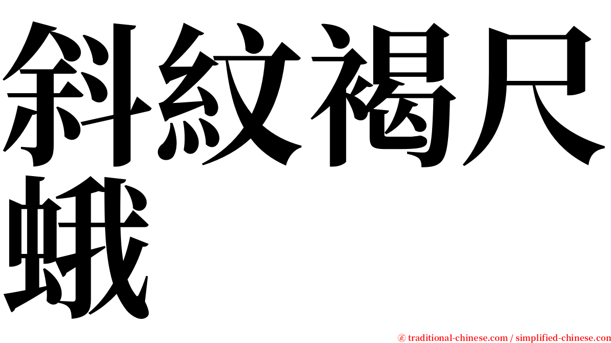 斜紋褐尺蛾 serif font