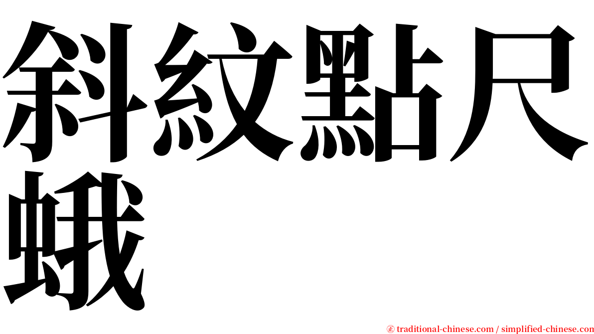 斜紋點尺蛾 serif font