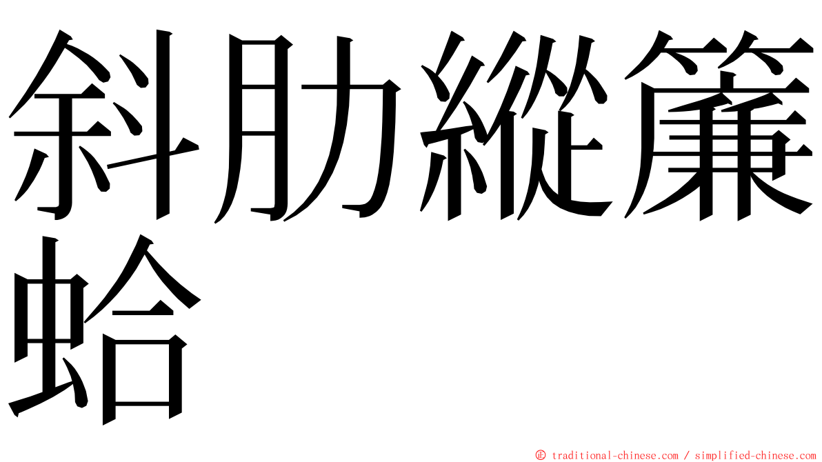 斜肋縱簾蛤 ming font