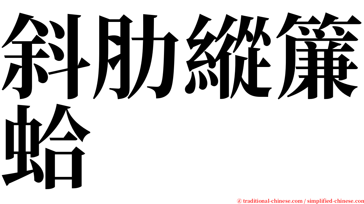 斜肋縱簾蛤 serif font