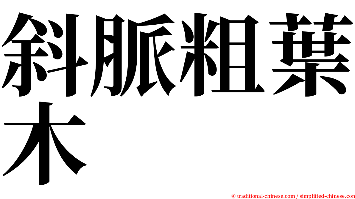 斜脈粗葉木 serif font