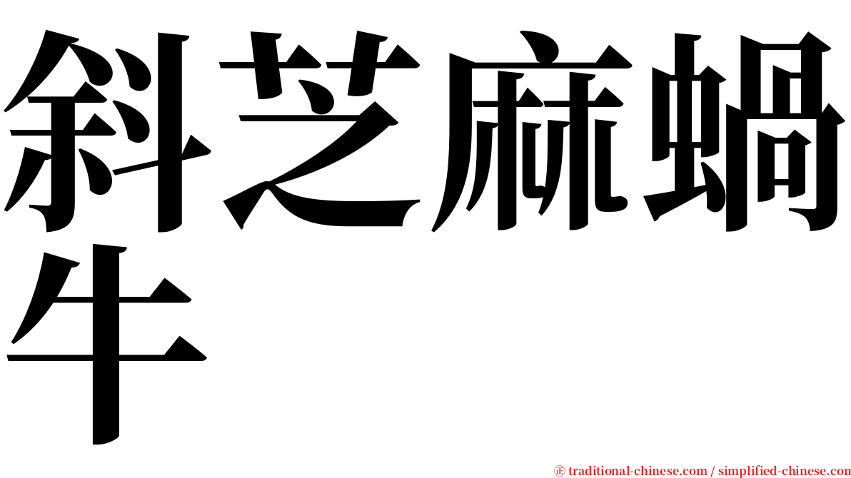 斜芝麻蝸牛 serif font