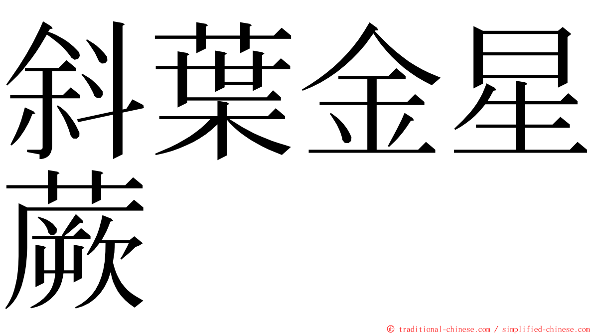 斜葉金星蕨 ming font