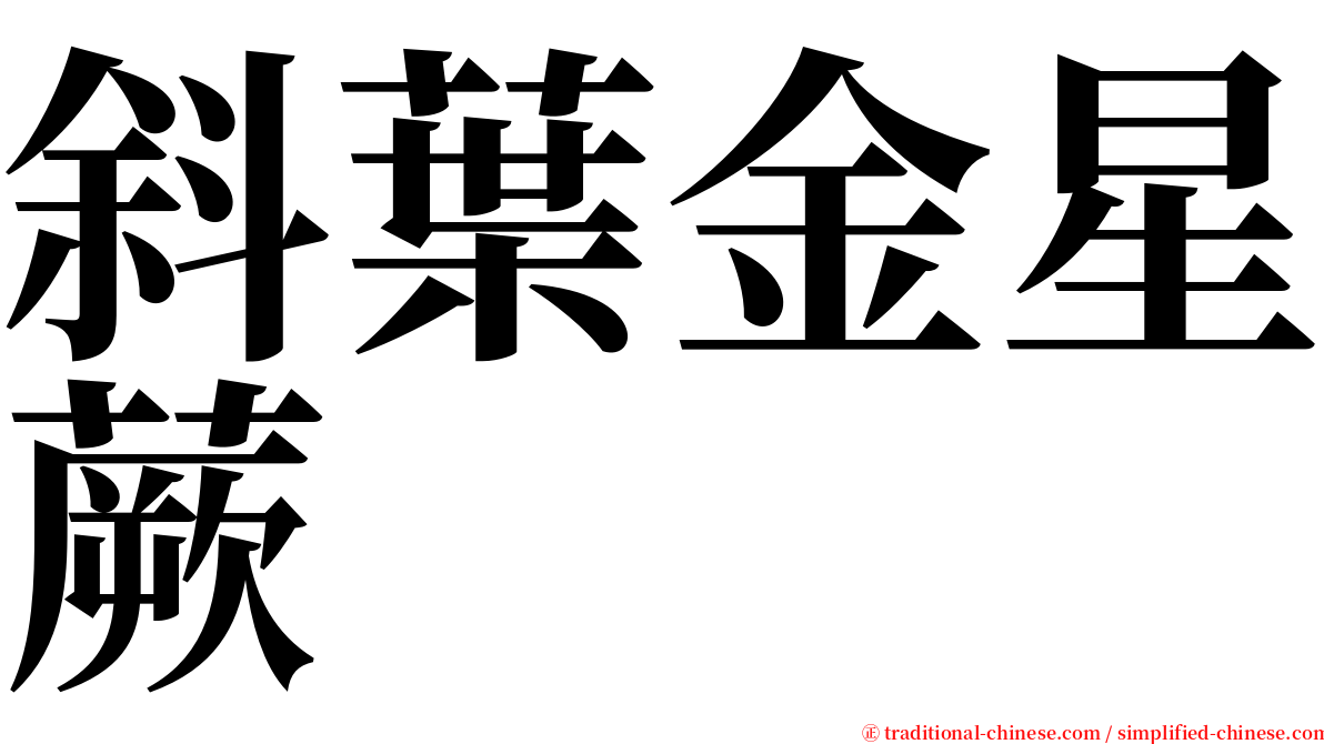 斜葉金星蕨 serif font