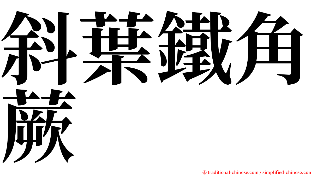 斜葉鐵角蕨 serif font