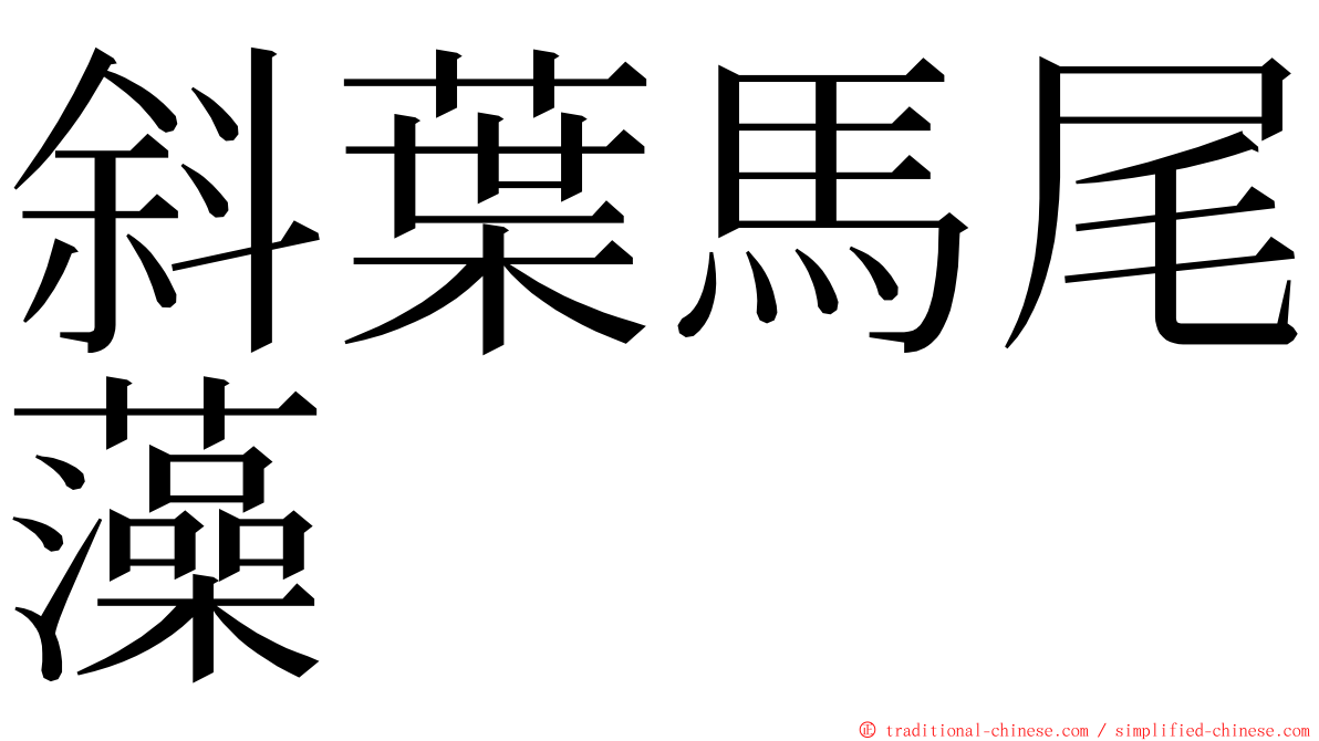 斜葉馬尾藻 ming font