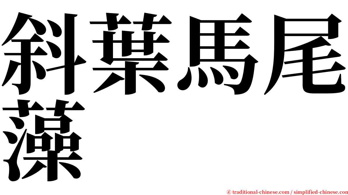 斜葉馬尾藻 serif font