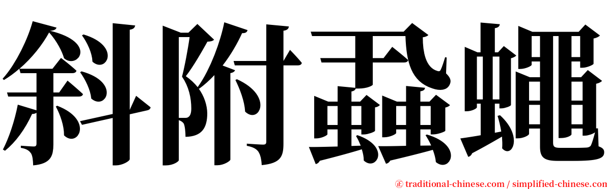 斜附蝨蠅 serif font