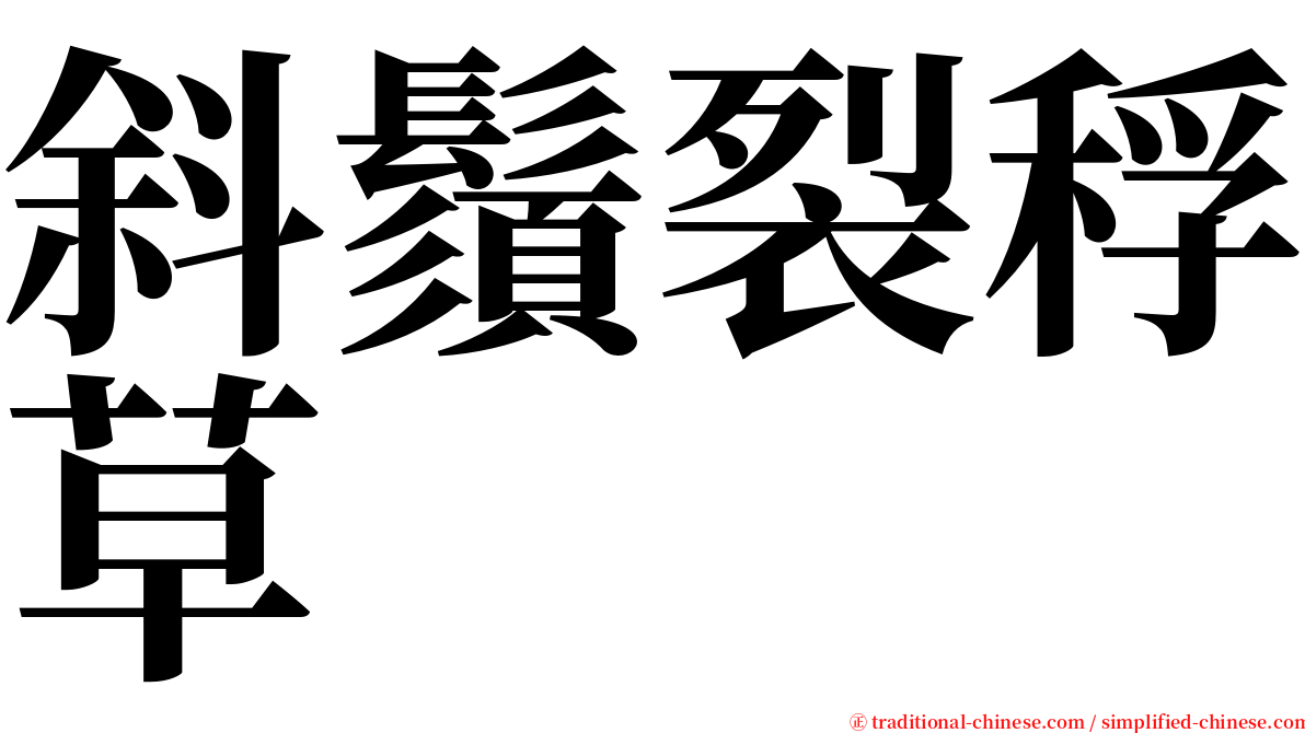 斜鬚裂稃草 serif font