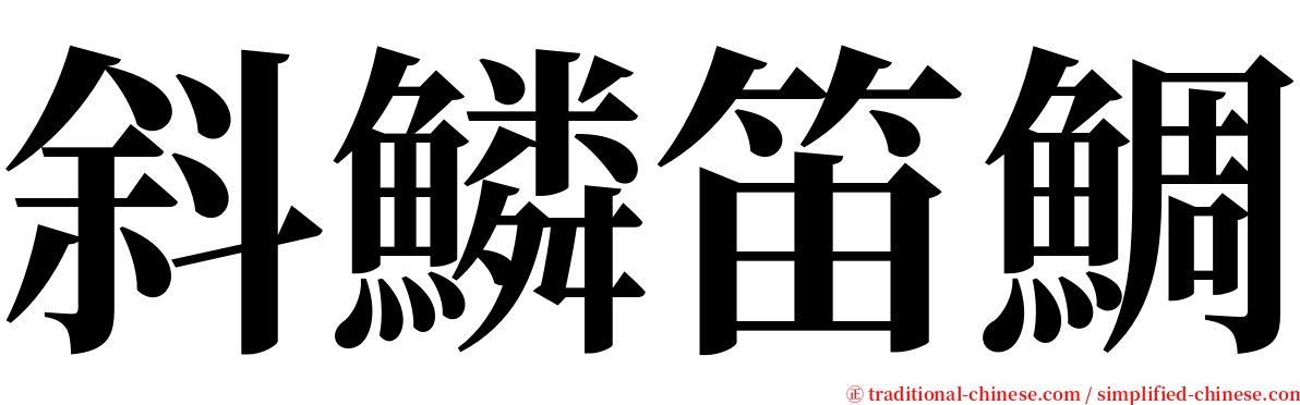 斜鱗笛鯛 serif font