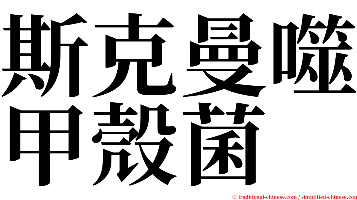 斯克曼噬甲殼菌 serif font