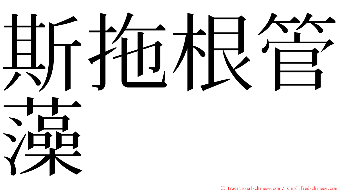 斯拖根管藻 ming font