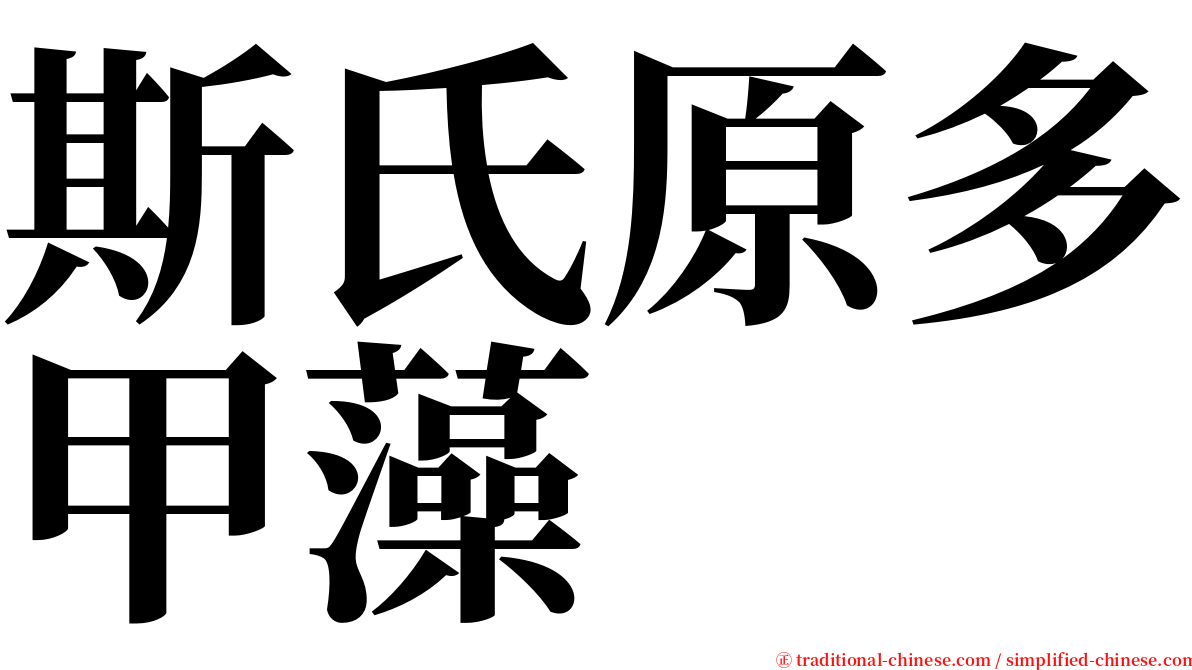 斯氏原多甲藻 serif font