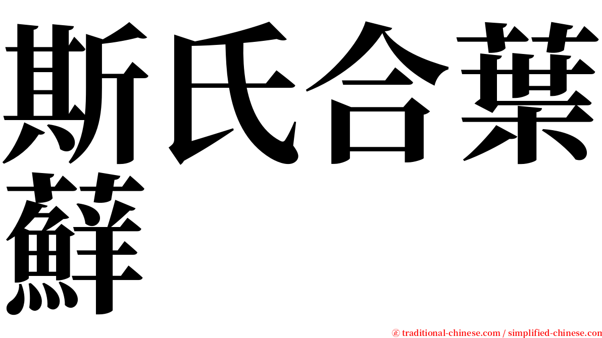 斯氏合葉蘚 serif font