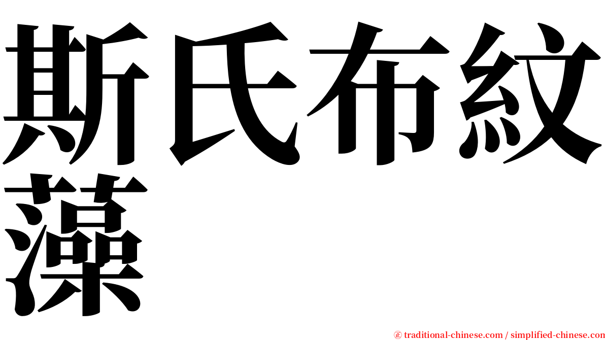 斯氏布紋藻 serif font