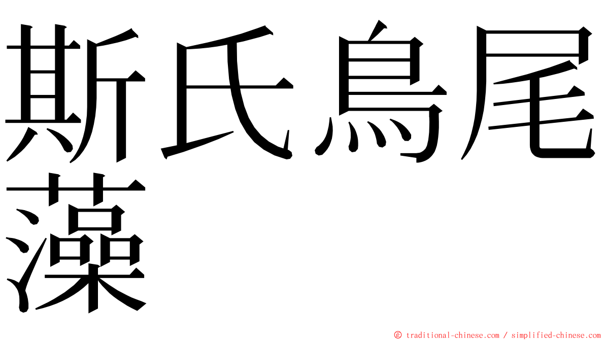 斯氏鳥尾藻 ming font