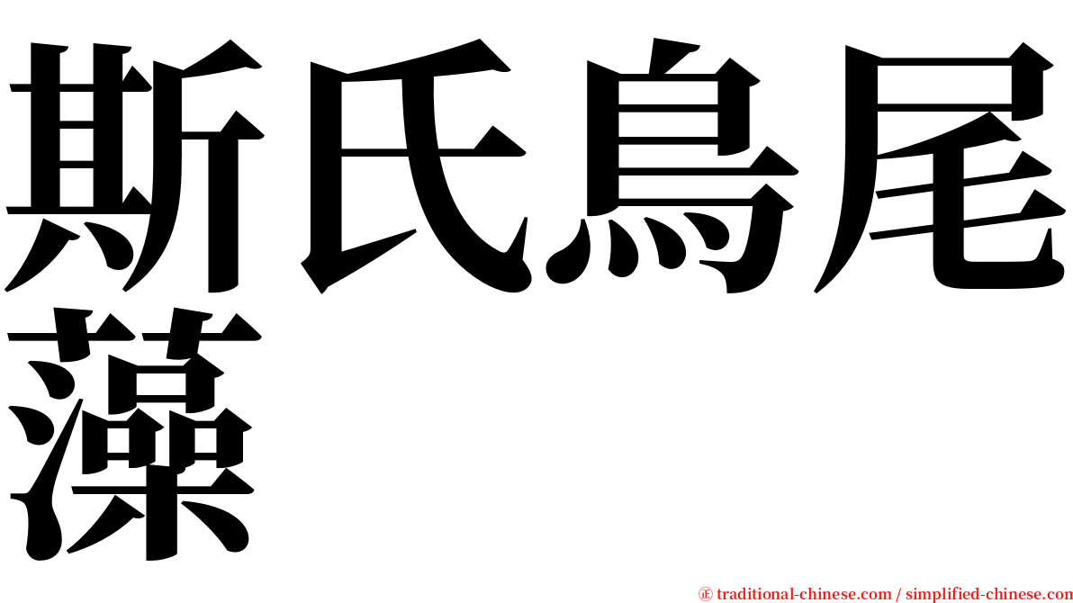 斯氏鳥尾藻 serif font