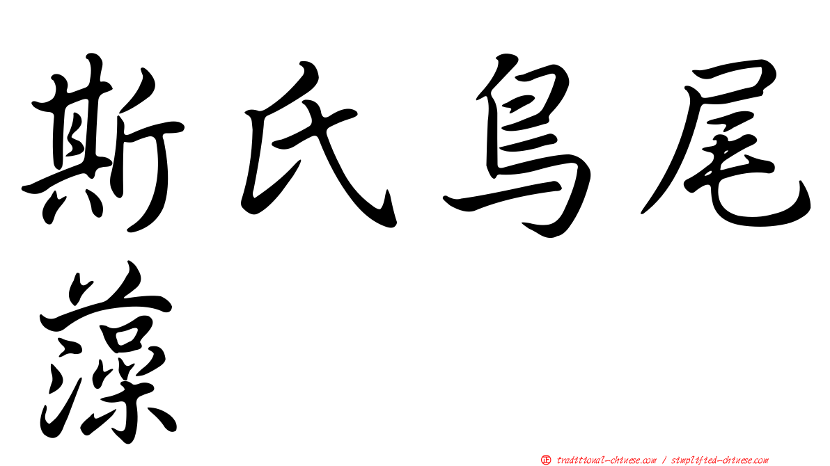 斯氏鳥尾藻