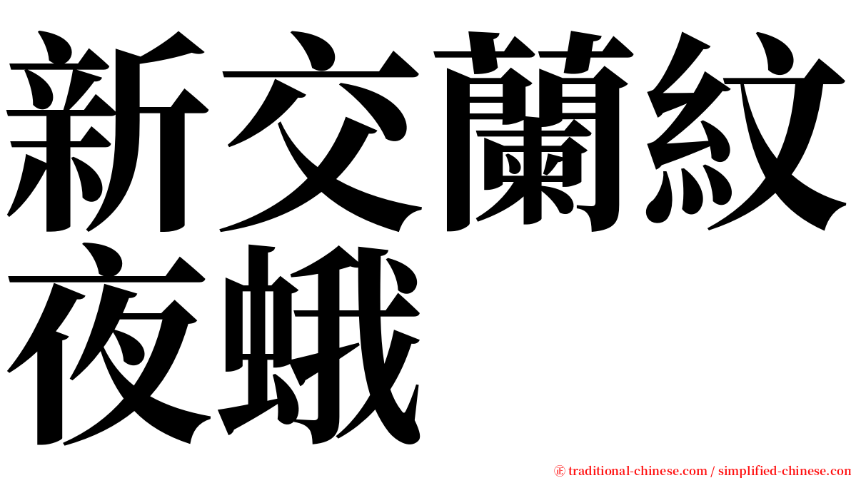 新交蘭紋夜蛾 serif font