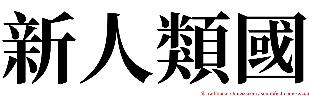 新人類國 serif font