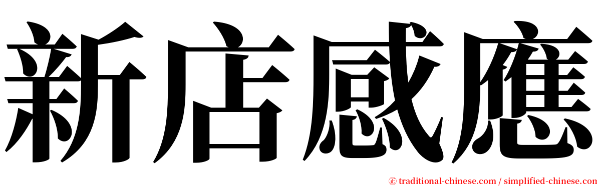 新店感應 serif font