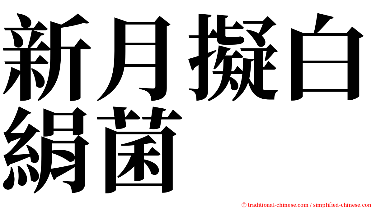 新月擬白絹菌 serif font