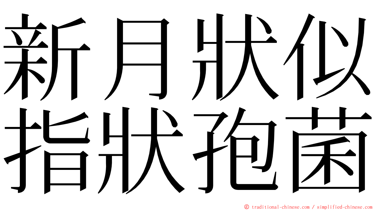 新月狀似指狀孢菌 ming font