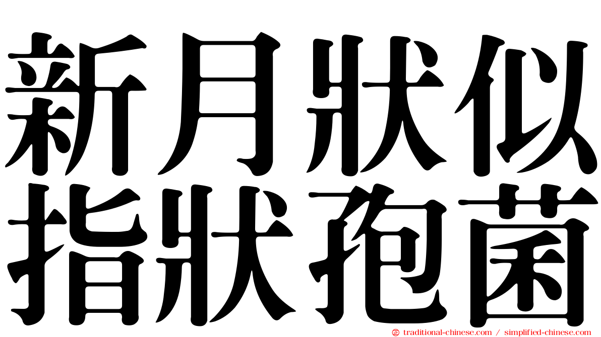 新月狀似指狀孢菌