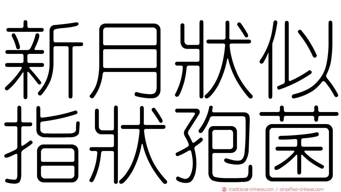 新月狀似指狀孢菌