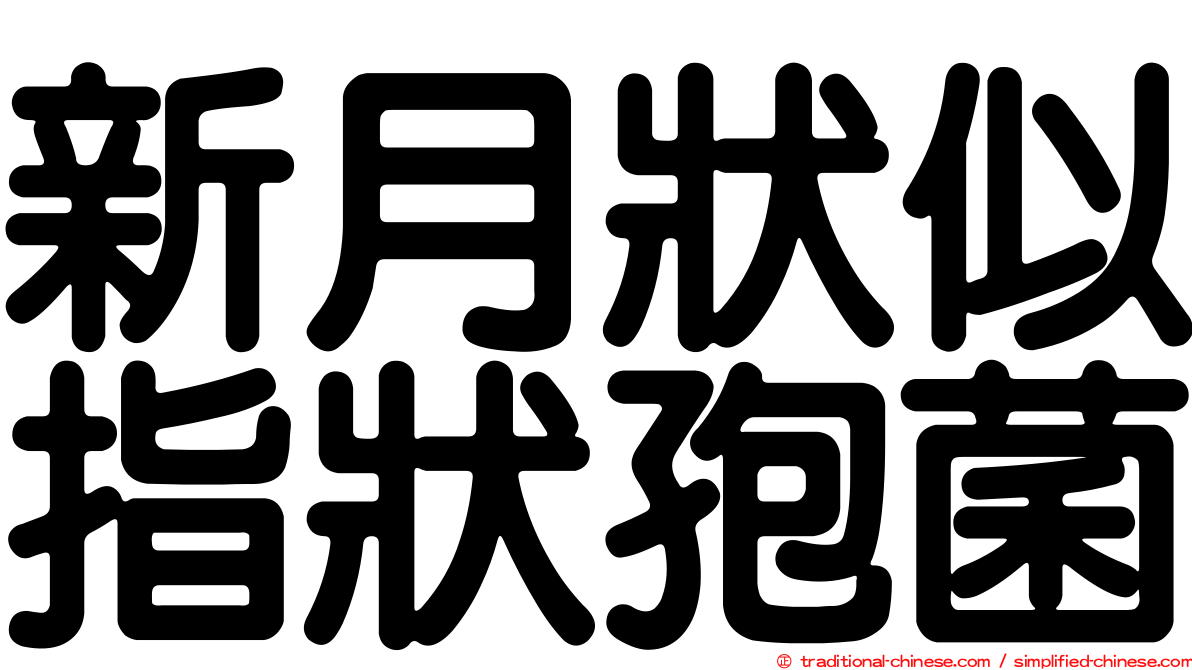 新月狀似指狀孢菌