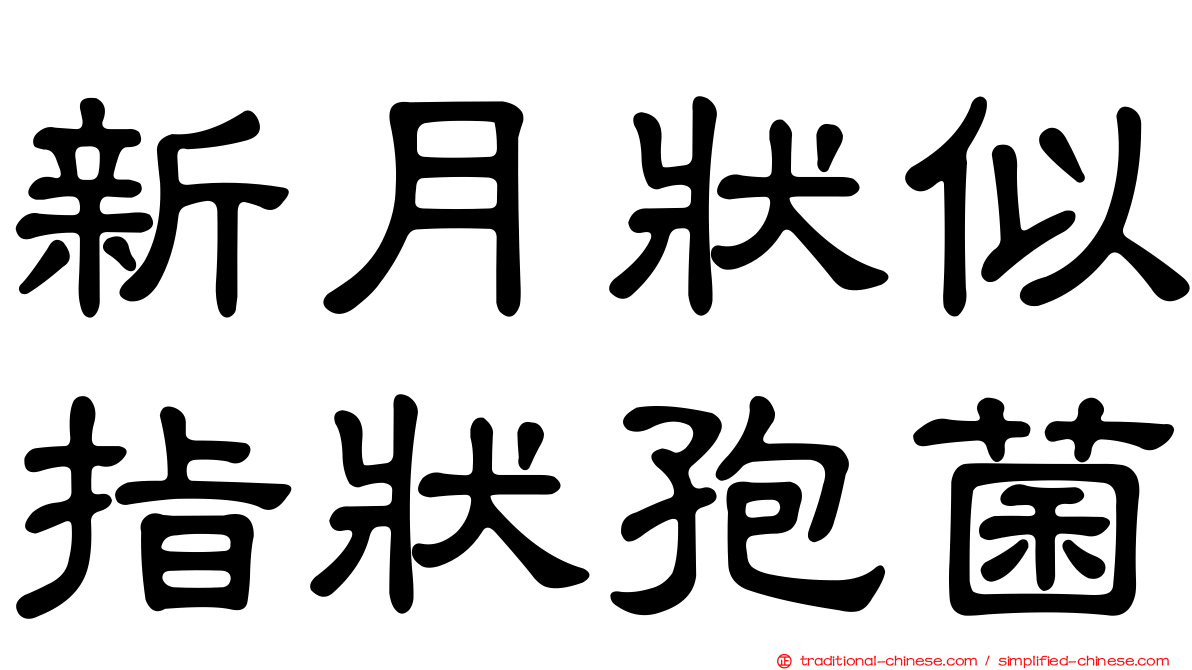 新月狀似指狀孢菌