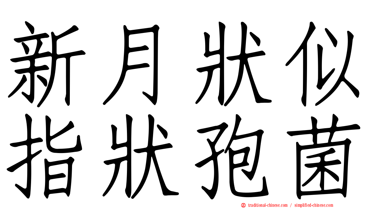 新月狀似指狀孢菌