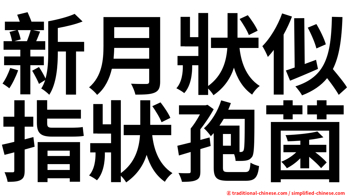 新月狀似指狀孢菌