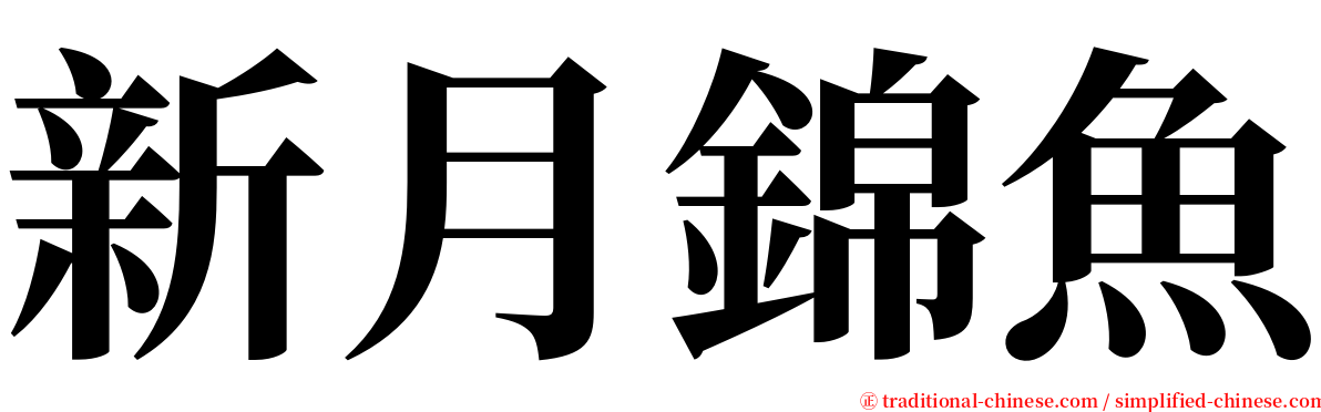 新月錦魚 serif font