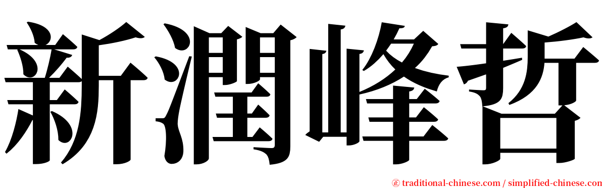 新潤峰哲 serif font