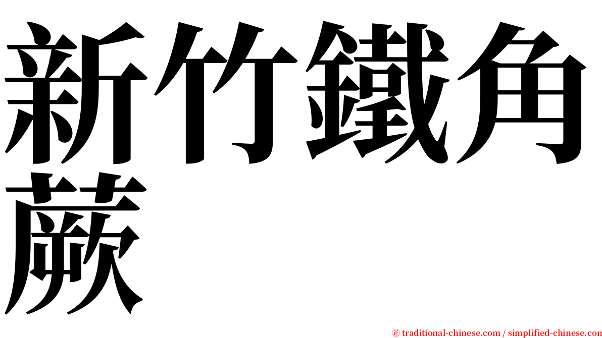 新竹鐵角蕨 serif font