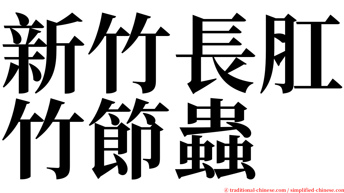 新竹長肛竹節蟲 serif font