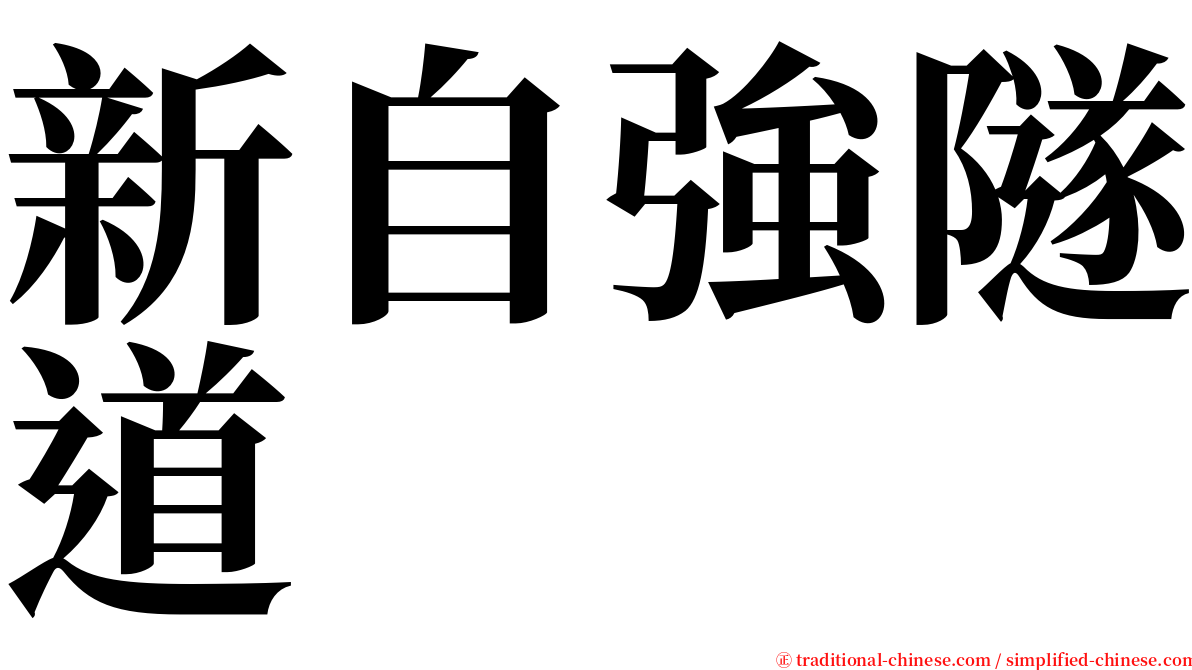 新自強隧道 serif font