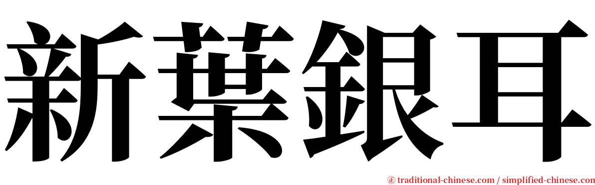 新葉銀耳 serif font