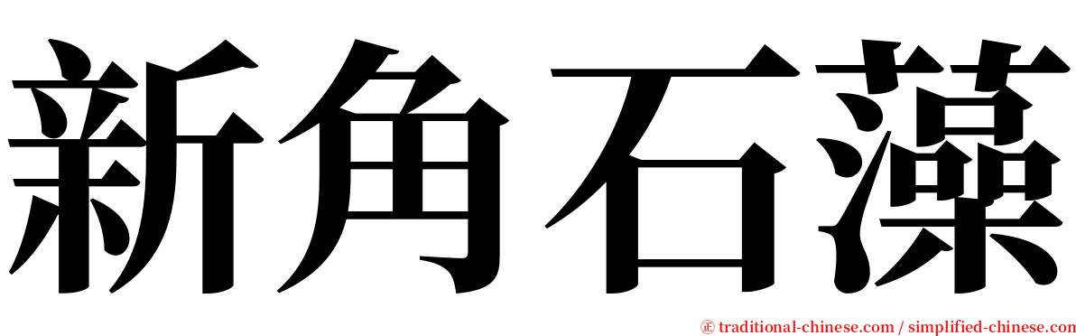 新角石藻 serif font