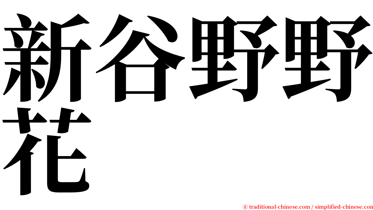 新谷野野花 serif font