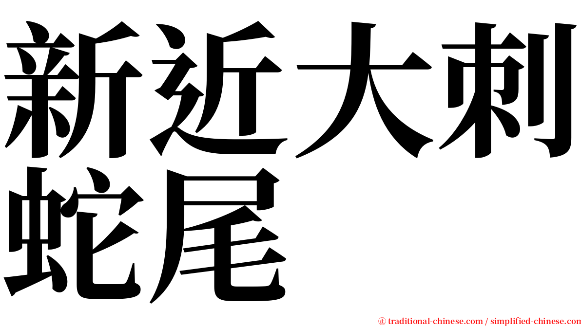 新近大刺蛇尾 serif font