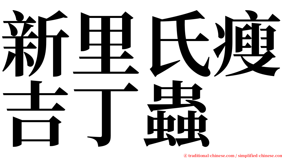 新里氏瘦吉丁蟲 serif font