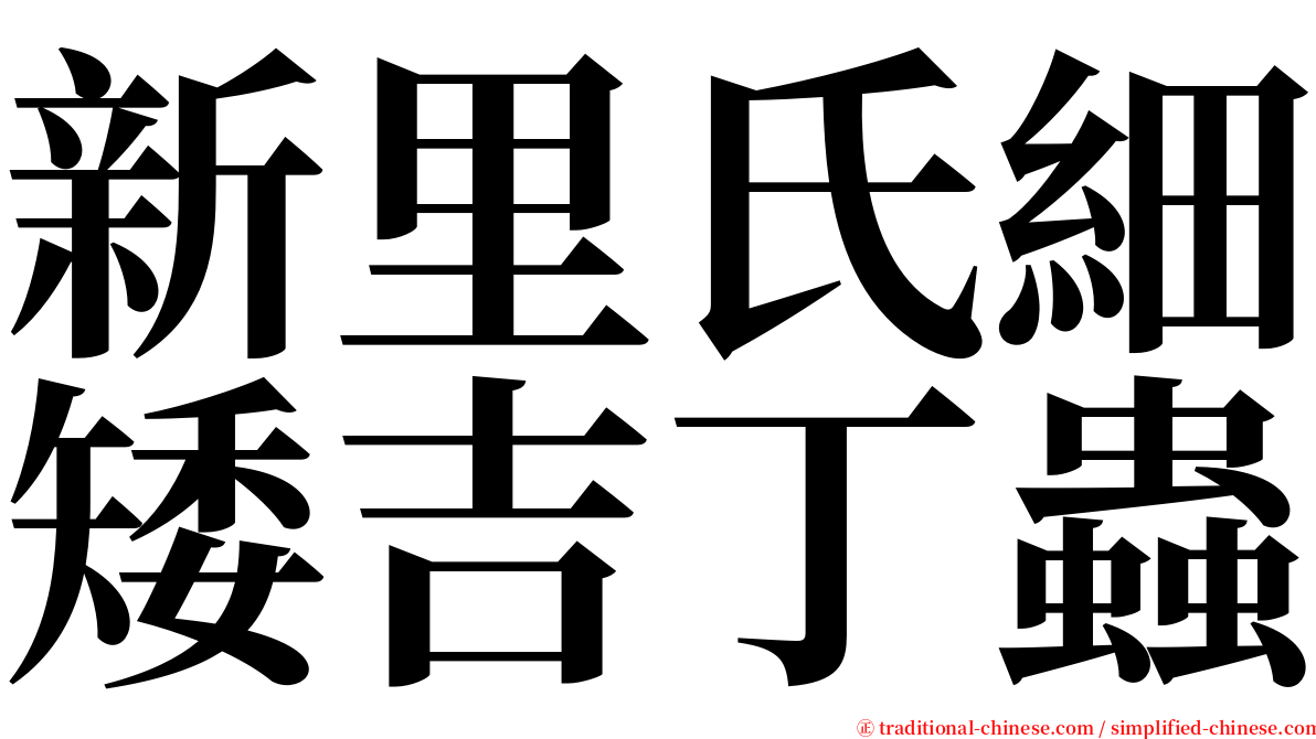 新里氏細矮吉丁蟲 serif font