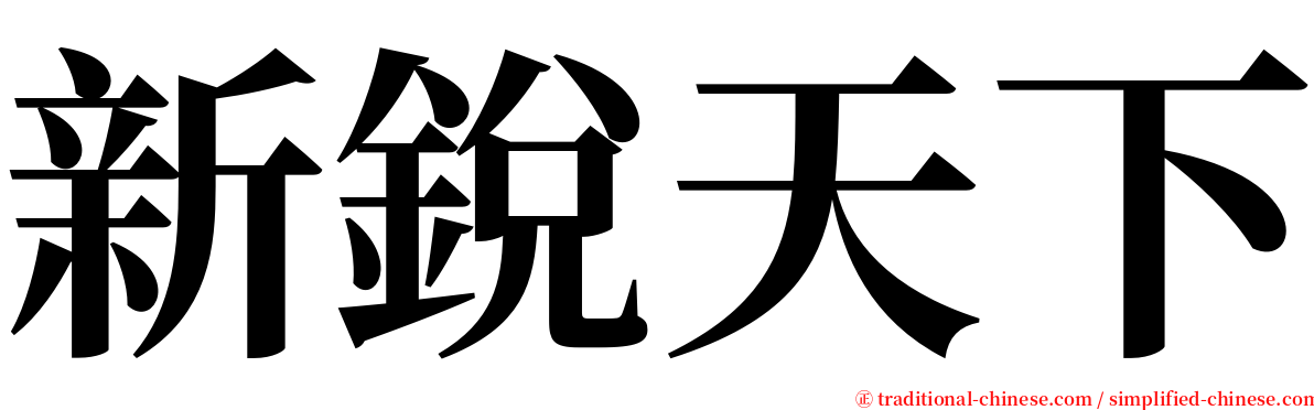 新銳天下 serif font