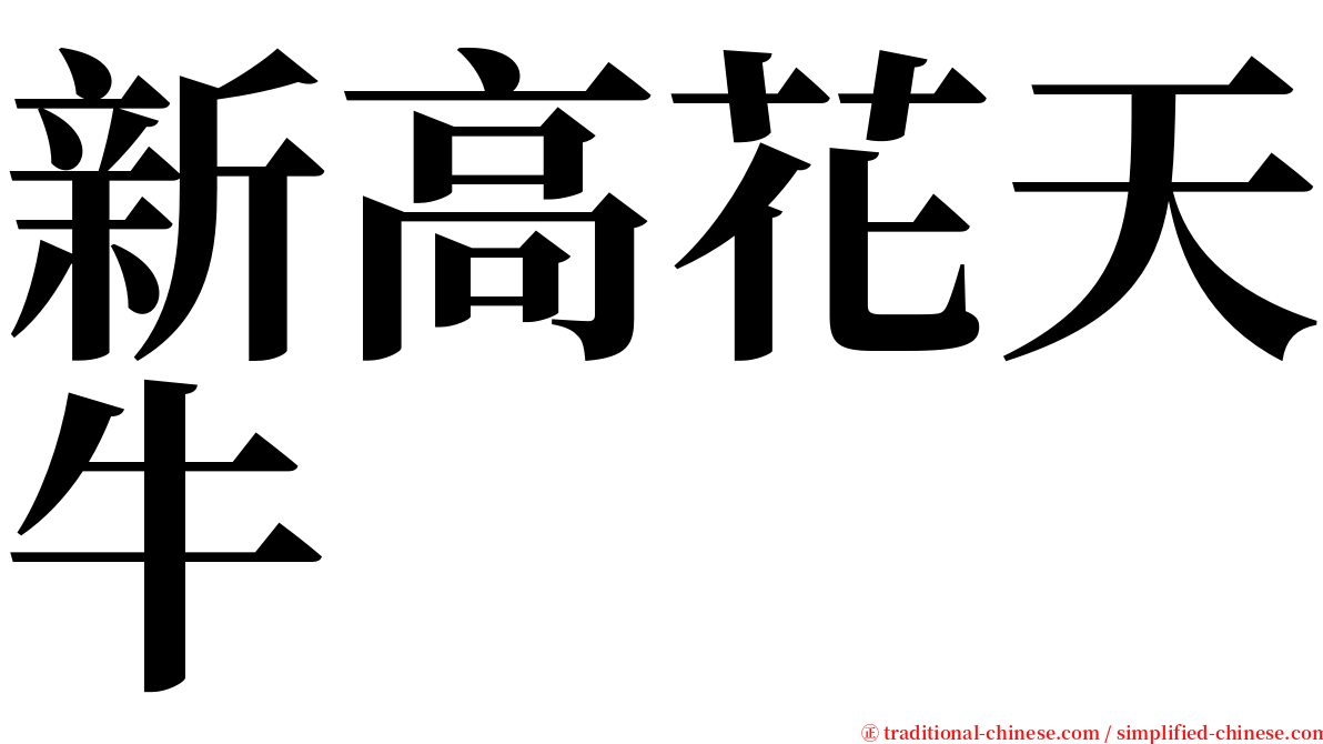 新高花天牛 serif font