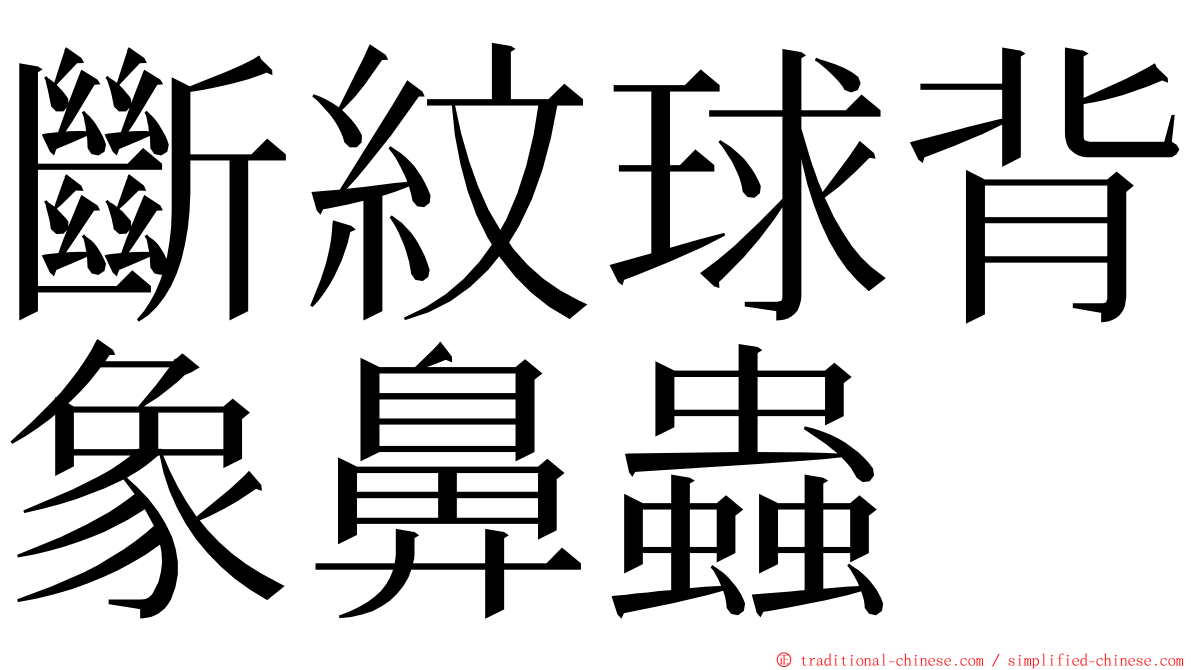 斷紋球背象鼻蟲 ming font