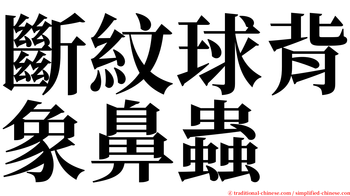 斷紋球背象鼻蟲 serif font