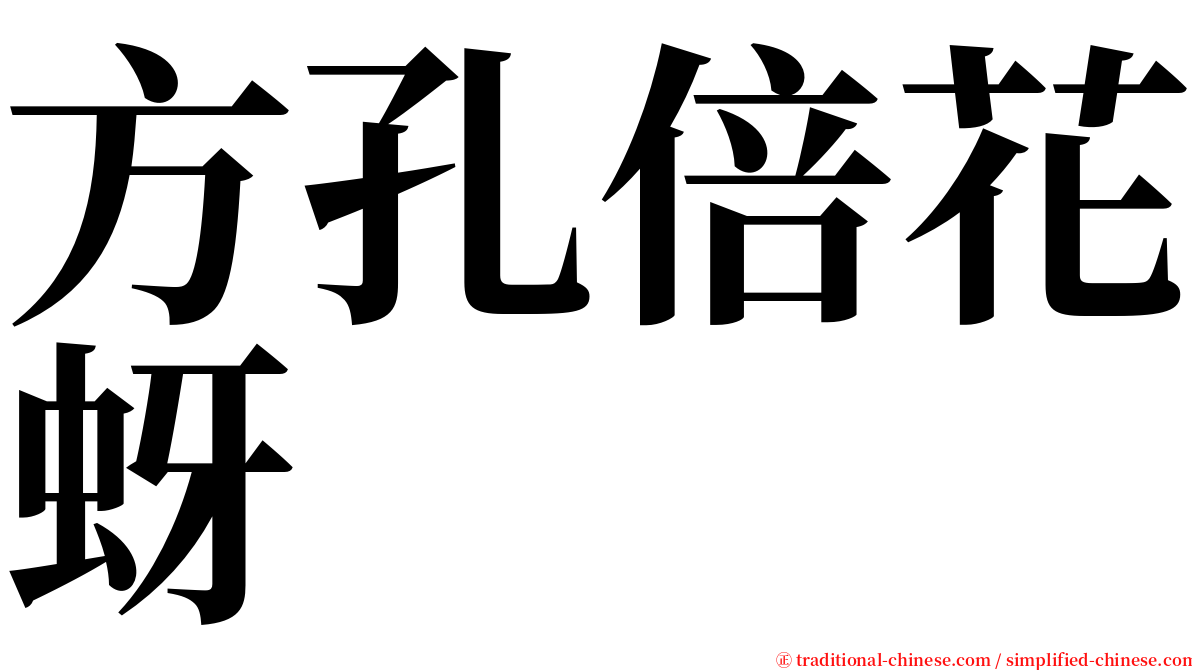 方孔倍花蚜 serif font